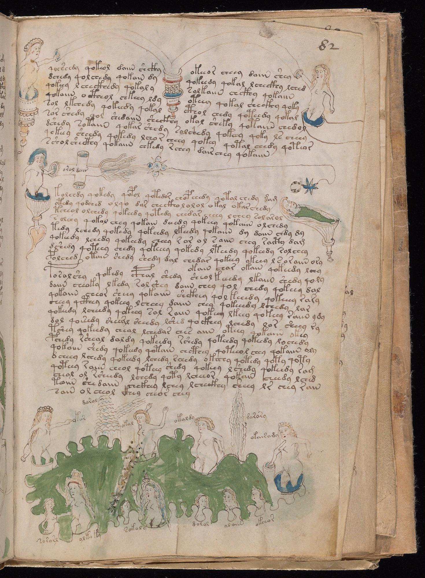 Voynich Manuscript folio f82r — Beinecke MS 408
